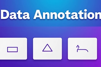 do data annotation and ai model evaluation for your project