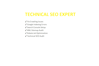 fix website SEO audit and technical issues