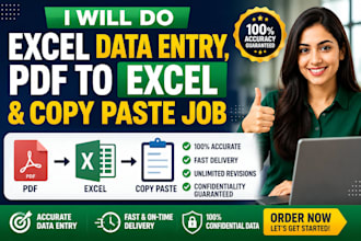 do excel data entry, pdf to excel and copy paste job