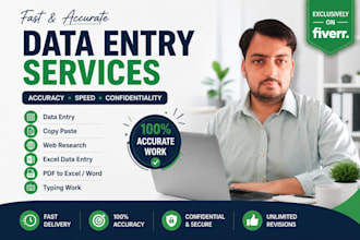 do data entry online offline pdf to word, typing and exel