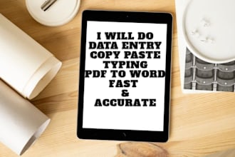 do fast and accurate data entry, typing, copy paste and retyping work