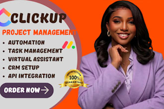 clickup project management workflow automation virtual assistant consultation