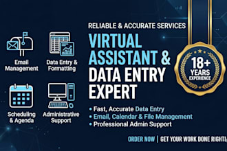 provide professional data entry and virtual assistant services