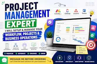 setup monday com, clickup,  asana workflow, and project management system