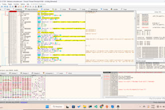 analyze dll exe apk binaries, debug software problems, perform code auditing, an