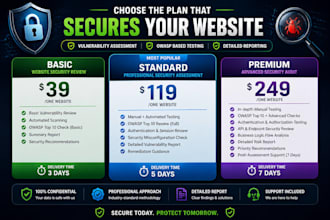 secure your website with professional vapt testing