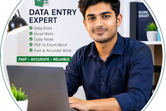 professional data entry and excel work