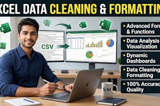 be your excel expert for data entry, cleaning and formatting