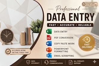do professional data entry, excel work, and copypaste