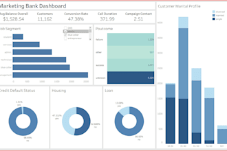 create professional data visualization dashboards in tableau