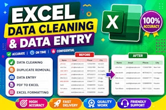 do clean, format, and organize excel data