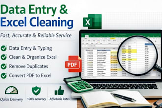 do data entry cleaning formating managing in excel