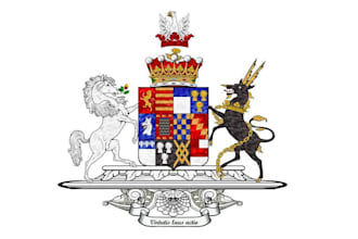 do a modern luxury heraldic crest logo design