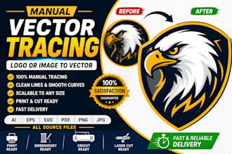do manual vector tracing, vector tracing for your logo or image