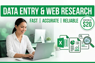 do fast and accurate data entry, copy paste and web research work