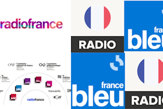 do professional promotion and airplay song on france digital radio