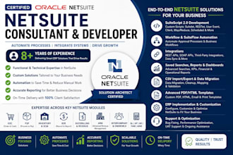 do netsuite functional and scripting and customization