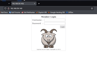 do web pentesting and vulnerability assessment report