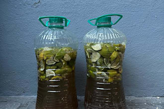 help you manage and reduce your waste significantly in your everyday life