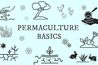 teach you how to start a permaculture garden