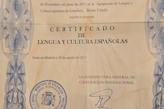 teach spanish to the highest level needed for you