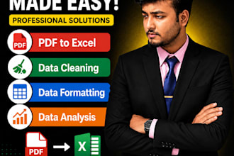 convert PDF to excel data cleaning formatting and analysis 2 years experience