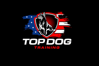 do modern patriotic logo
