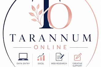 provide professional data entry and excel services