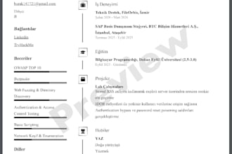 perform web application security testing and report