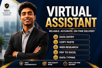 provide virtual assistant services for data entry and related to web search
