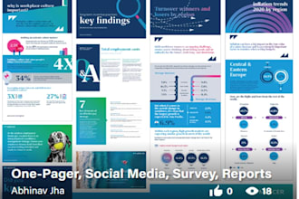 design infographics brochure brand identity and cartography