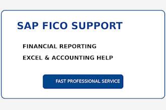 provide sap fico support and financial reporting help