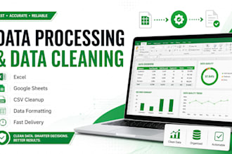 do data entry, cleaning and data processing professionally