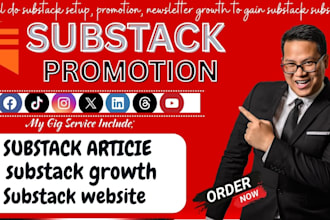 do professional substack marketing and audience growth