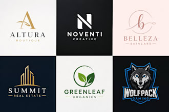 do professional business logo design or re design