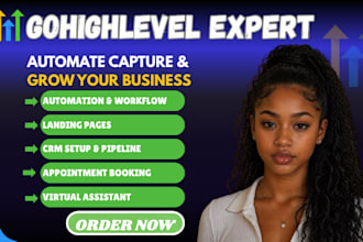 gohighlevel virtual assistant ghl va gohighlevel landing page sales funnel auto