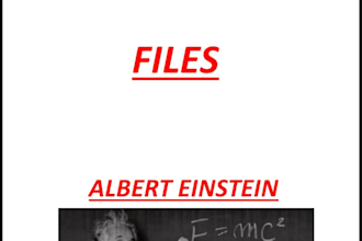 do professional ms word document formatting and layout design