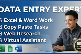 do expert data entry work