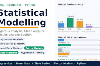 perform econometric analysis and statistical modelling