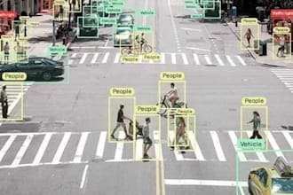 do professional image annotation, data labeling