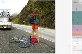 do professional image annotation for ai datasets in cvat