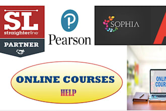 handle math, statistics, mathematics, calculus, physics work, pearson aleks d2l