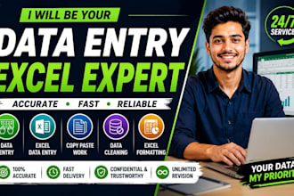 be your expert data entry and excel data cleaning specialist