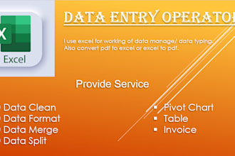 data entry operator, excel operator