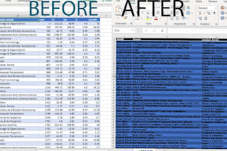 do professional data entry, cleaning and transformation