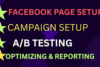 set up ,optimize your fb page and manage your fb ads campaign