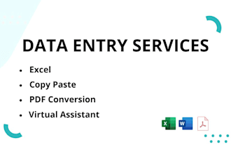 do professional data entry and virtual assistant tasks