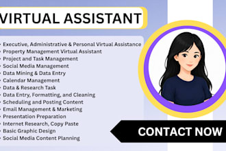 executive virtual assistant personal virtual assistant administrative VA