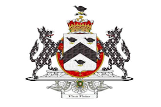 do lion,shield, crest,luxury,heraldic, classy,crown logo
