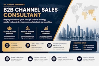 provide b2b channel sales and partnership consulting